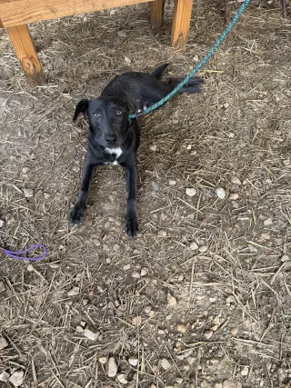 Sebastian