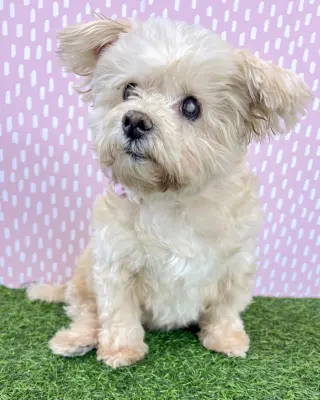 Betty