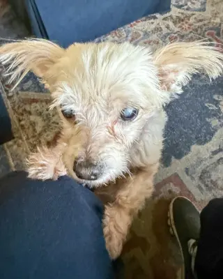 Betty