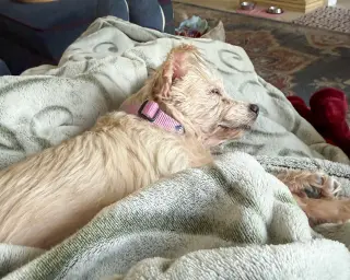 Betty