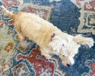 Betty