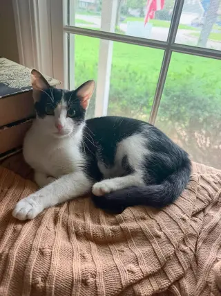 Jane