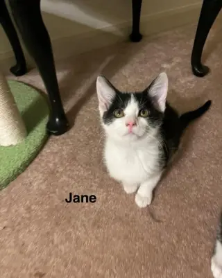 Jane