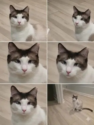 MeiSu (Aka Taunus)