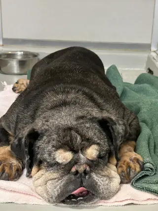Vader