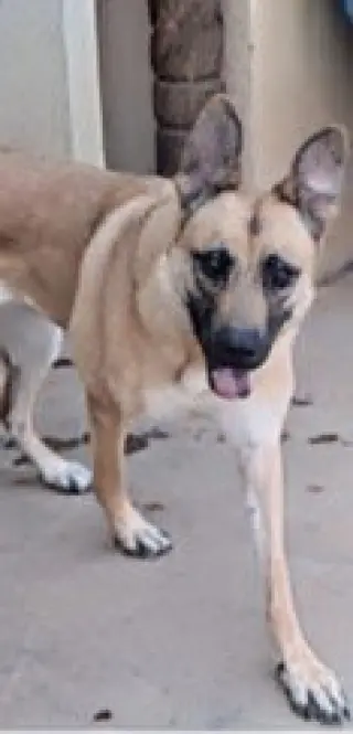 JANIE