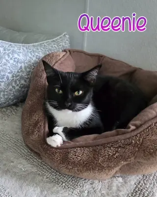 Queenie