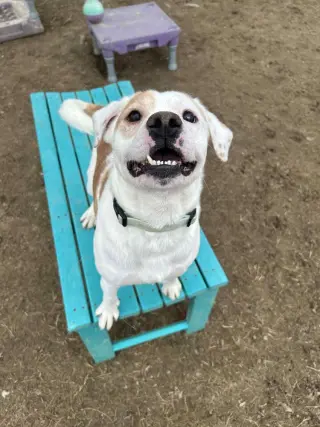Tex