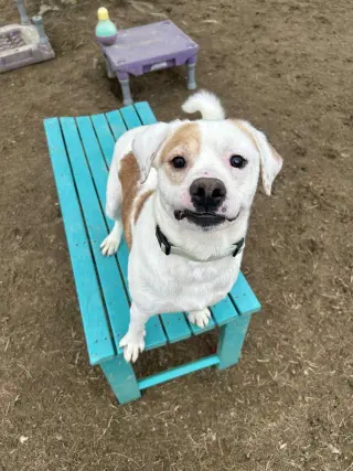 Tex