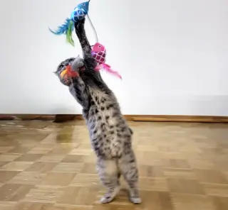 Neytiri #warrior-princess