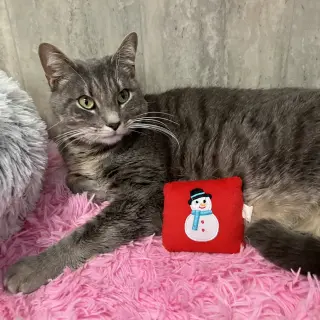 Fonzi