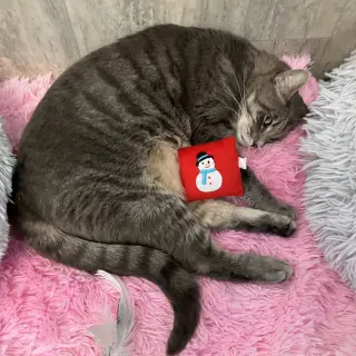 Fonzi