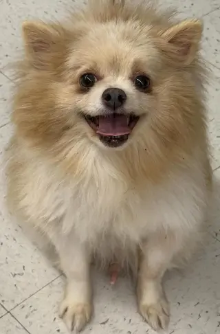 Gabe