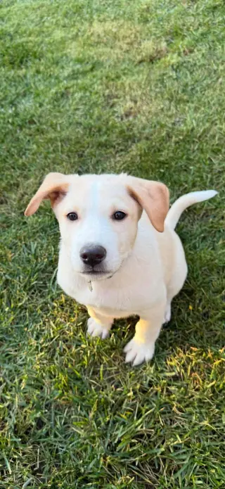 Max