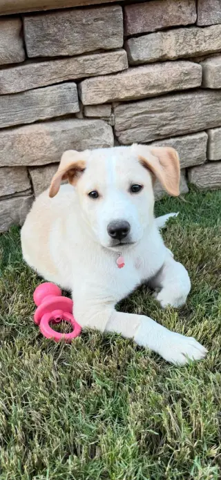 Max