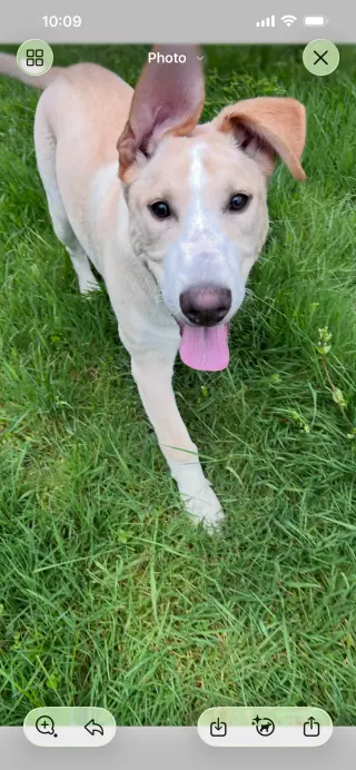Max