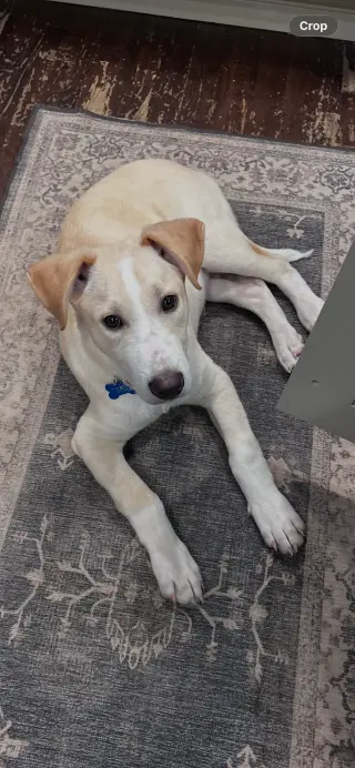 Max