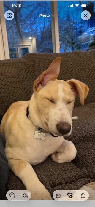 Max