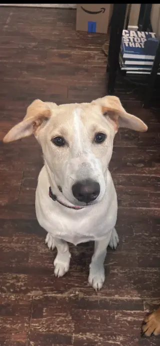 Max