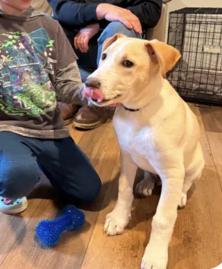 Max