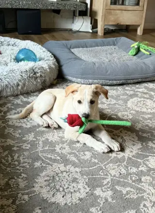 Max