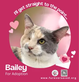 Bailey