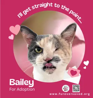 Bailey