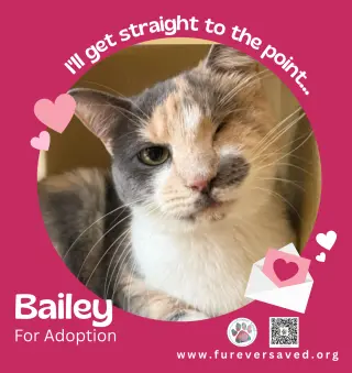 Bailey