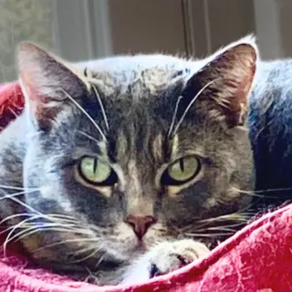 Freya