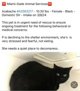 Sabrina