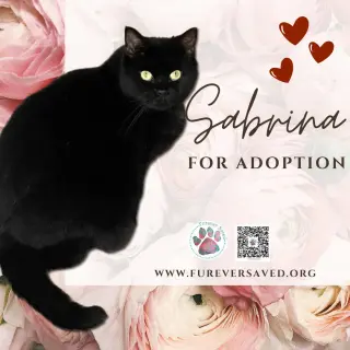 Sabrina
