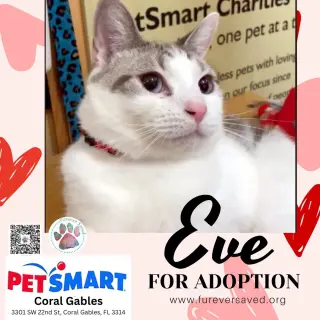 Eve