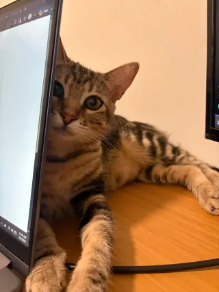 Teriyaki