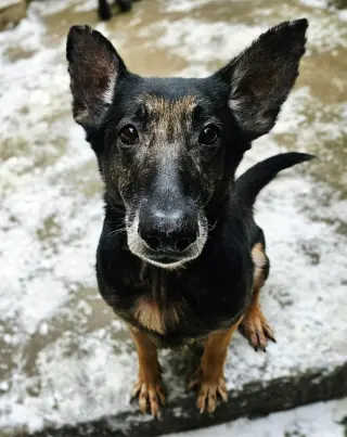 Skylar