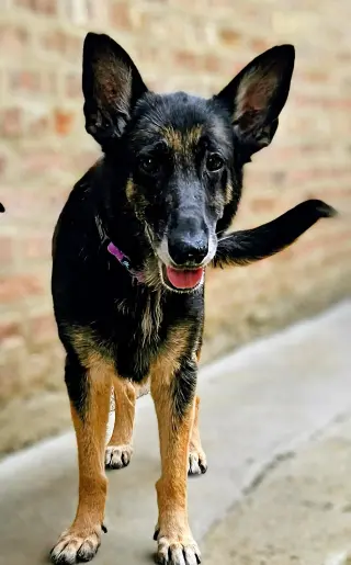 Skylar
