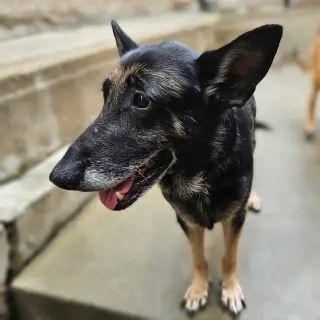 Skylar