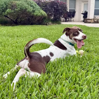 Susie #lovebug-extraordinaire