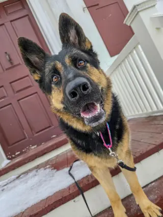 Java