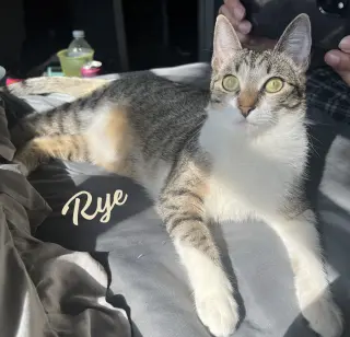 Rye #sister-of-Milly