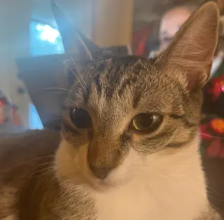 Rye #sister-of-Milly