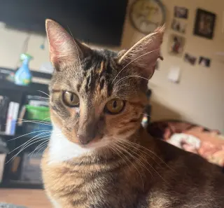 Milly #sister-of-Rye