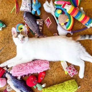 Twinkle (Bonded with Sparkle)