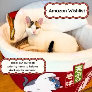Twinkle (Bonded with Sparkle)