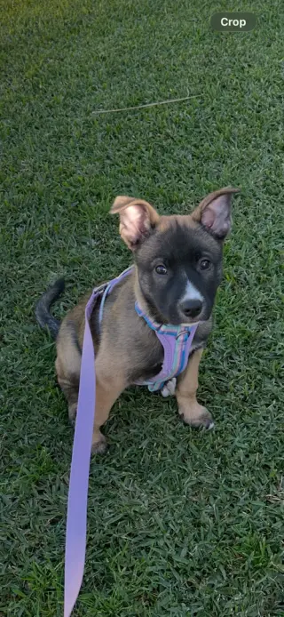 Rylee