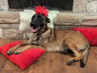 Stormy Skye - Located in TX