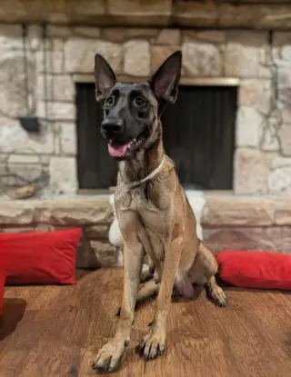 Stormy Skye - Located in TX