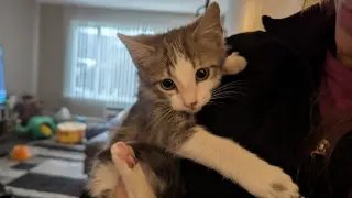 Paul