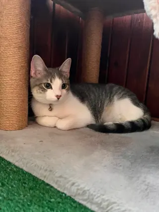 Penny