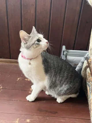 Penny