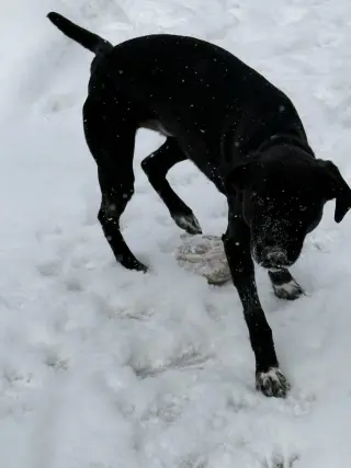 Zeus